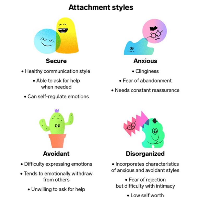 Secure, Anxious, Avoidant, Disorganized infographic