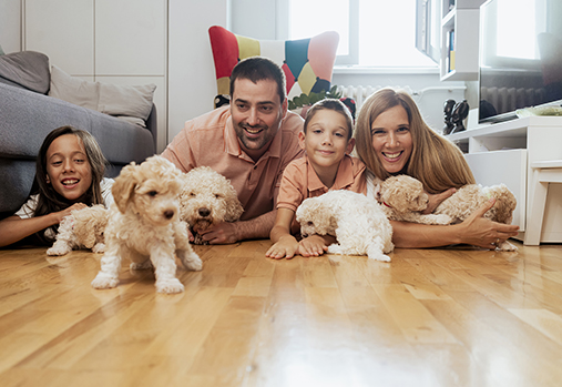 Family laying on the floor with puppies