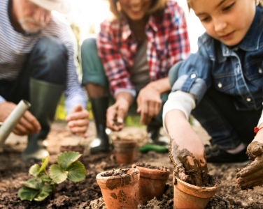 A family gardening, focusing on planting in pots.