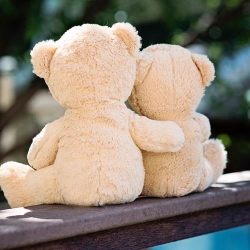 supportive environment 