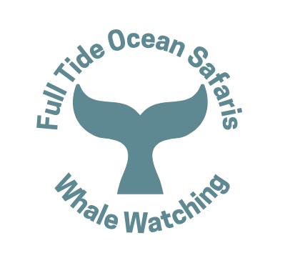 Full Tide Ocean Safari logo