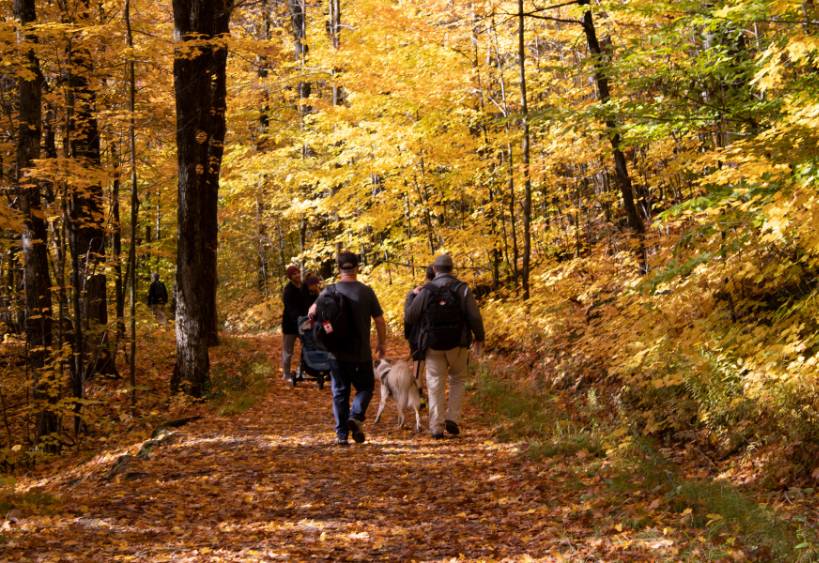 people hiking in Gatineau Park