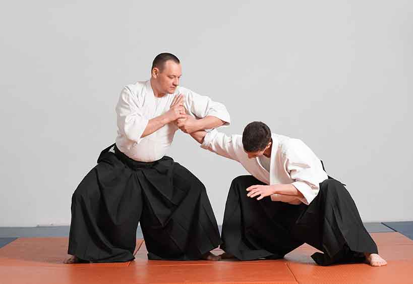 Aikido Class