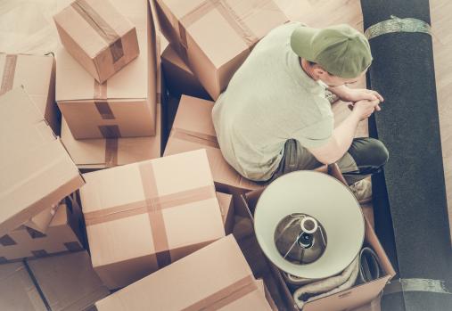a person, a dog, and moving boxes