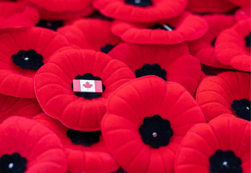 Remembrance Day red poppy flowers with small Canadian flag