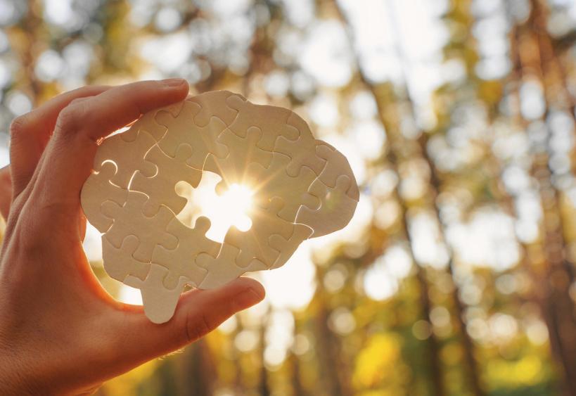 Main tenant une pièce de casse-tête en forme de cerveau, traversée par les rayons du soleil dans un décor forestier.