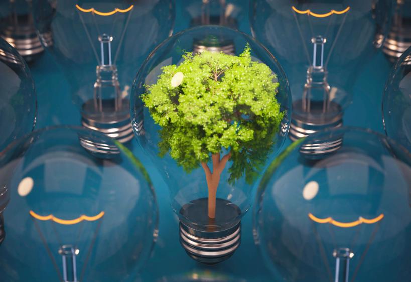 A series of glowing light bulbs surround a central light bulb containing a small green tree