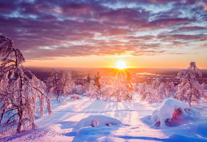 Snowy evening in the woods