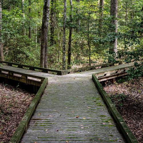 Helping us make informed decisions