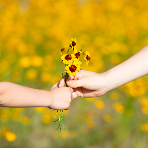 Insights and support 