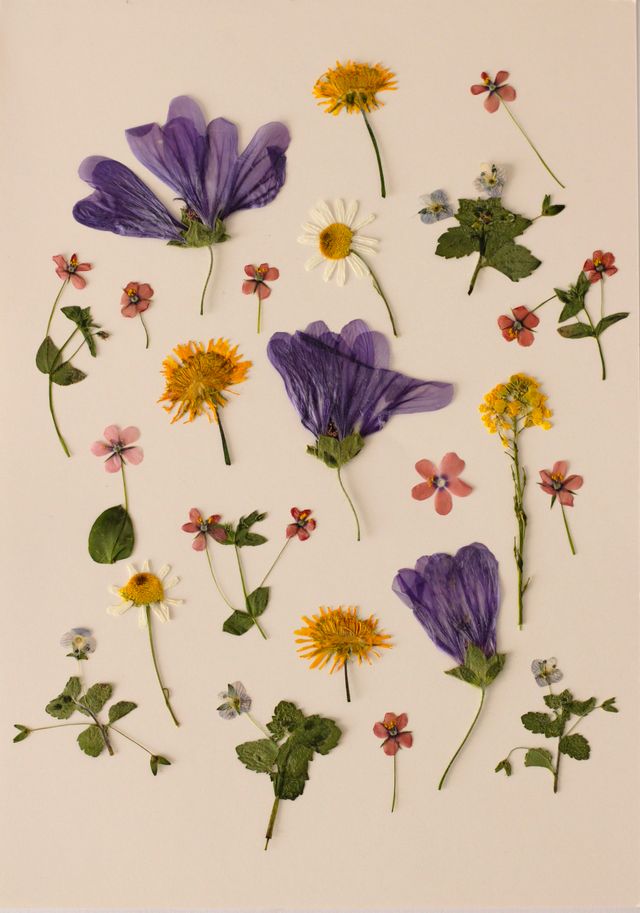 Artistic flat lay featuring a beautiful arrangement of various pressed wildflowers on a neutral background.