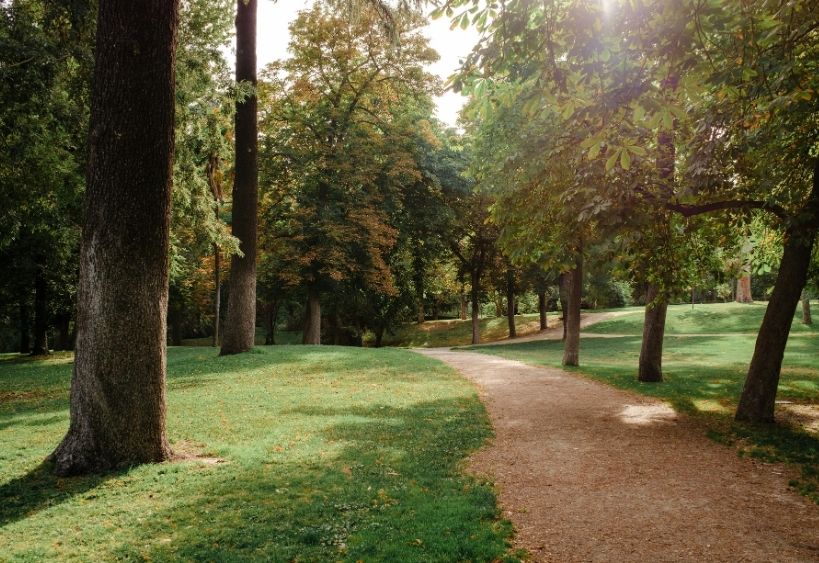 A trail through a park