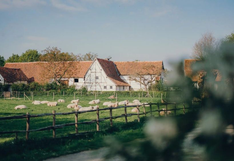 Bokrijk open air museum