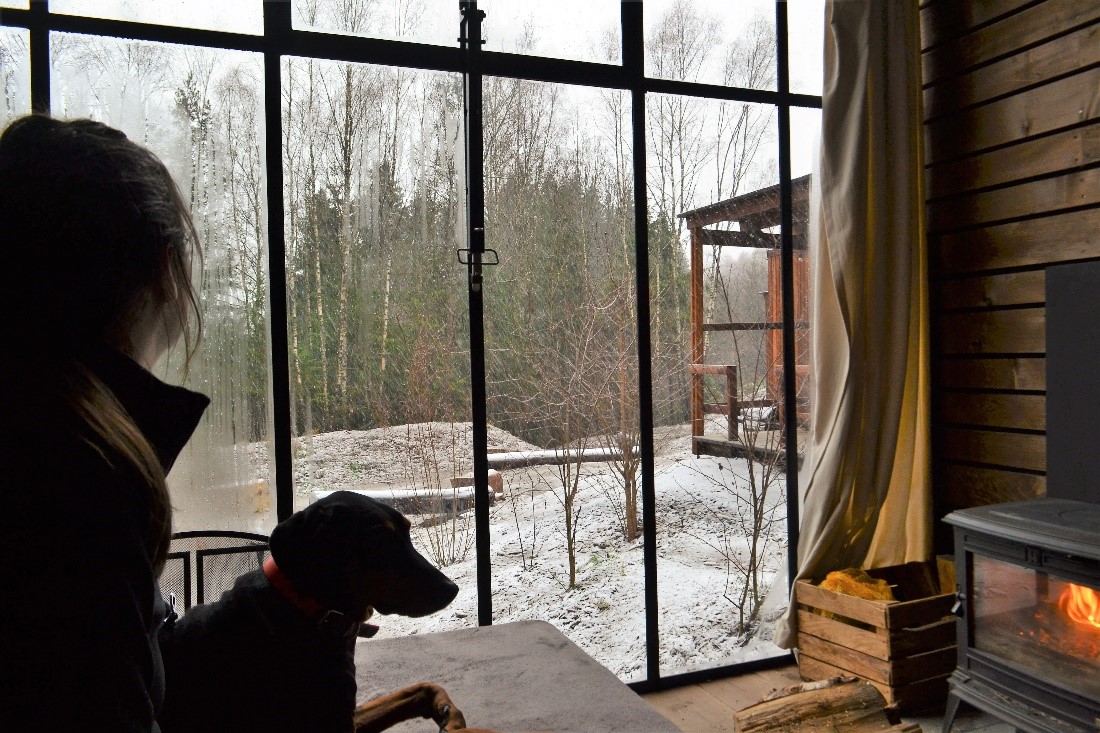 woman sitting with dog on couch looking out window at the forest
