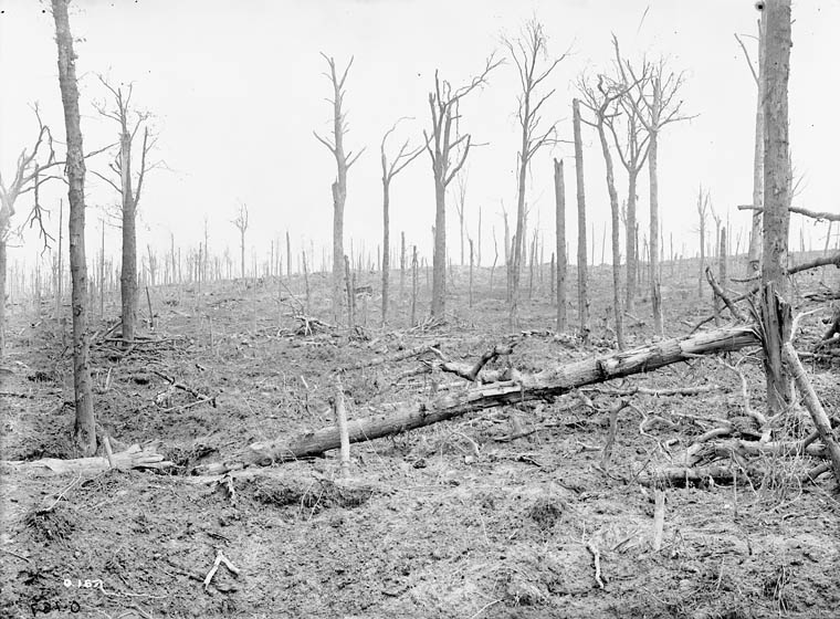 image of sanctuary wood