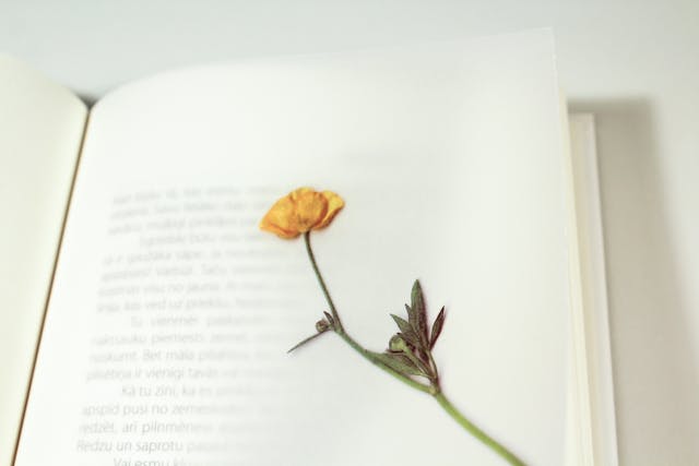 pressed flower in book