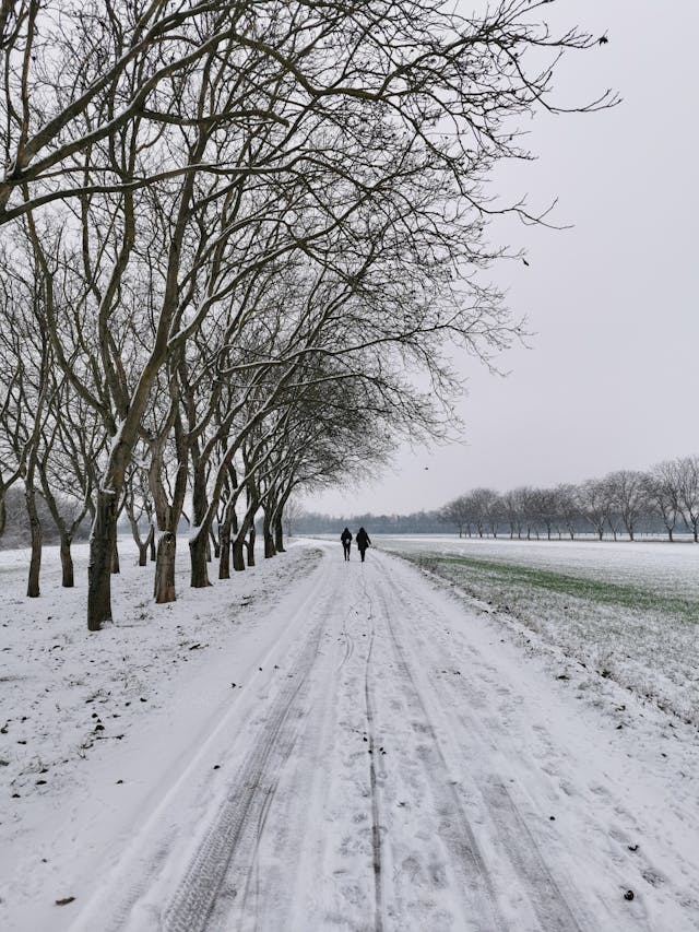 People Walking on Road in Winter