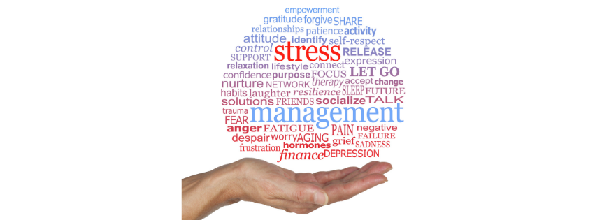 Picture of a hand holding a 'ball' of stress related words'