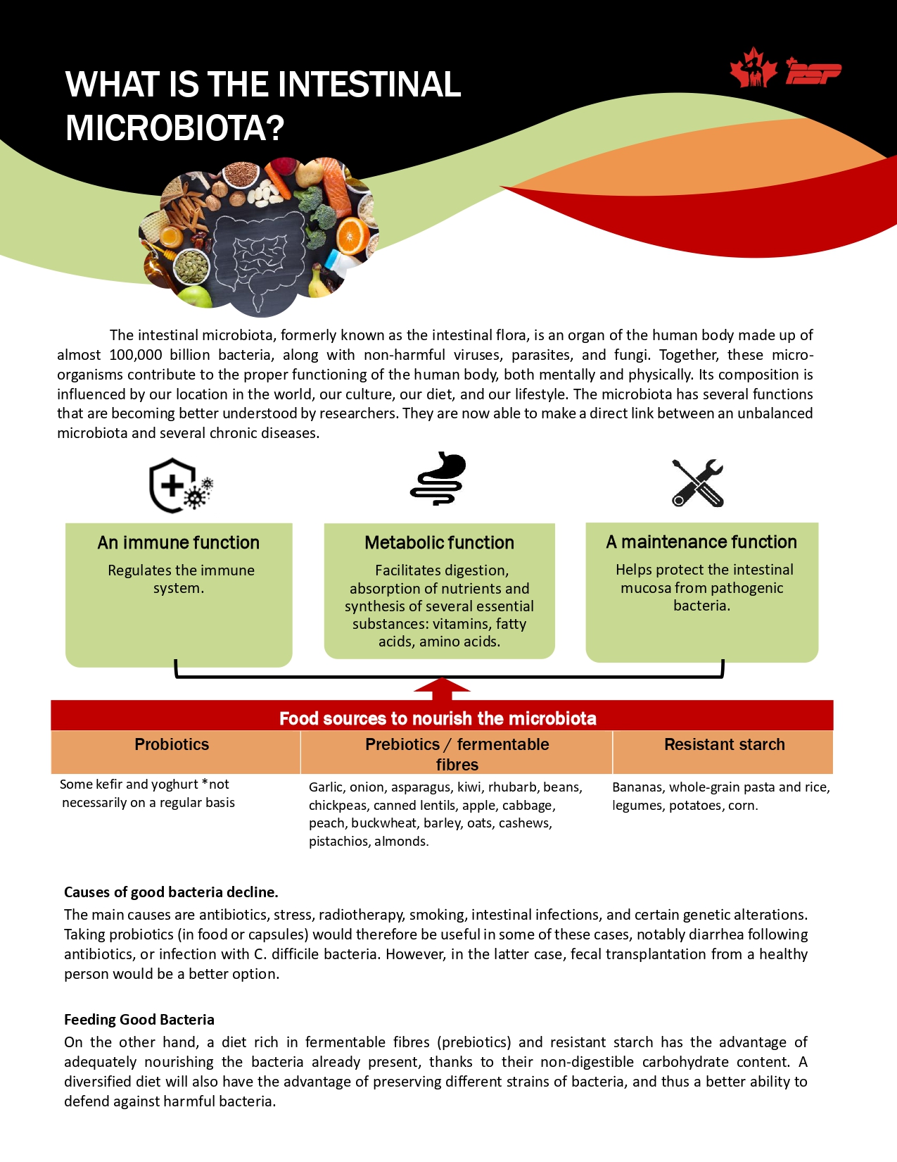 Understanding Microbiota