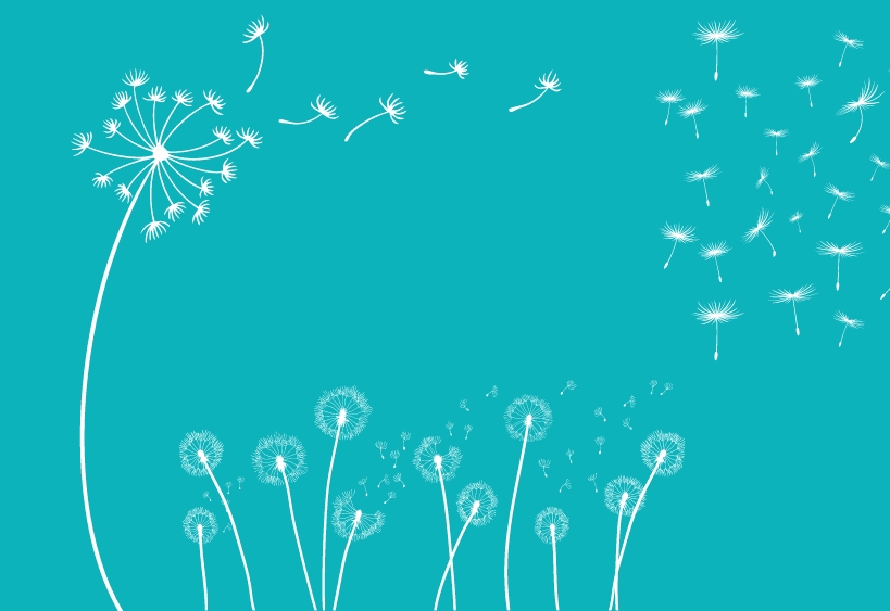 A picture of dandelions