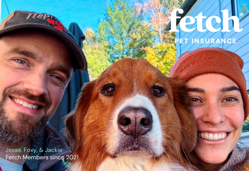 dog and owners, fetch logo