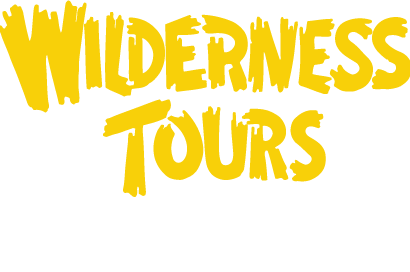 Wilderness Tours Logo