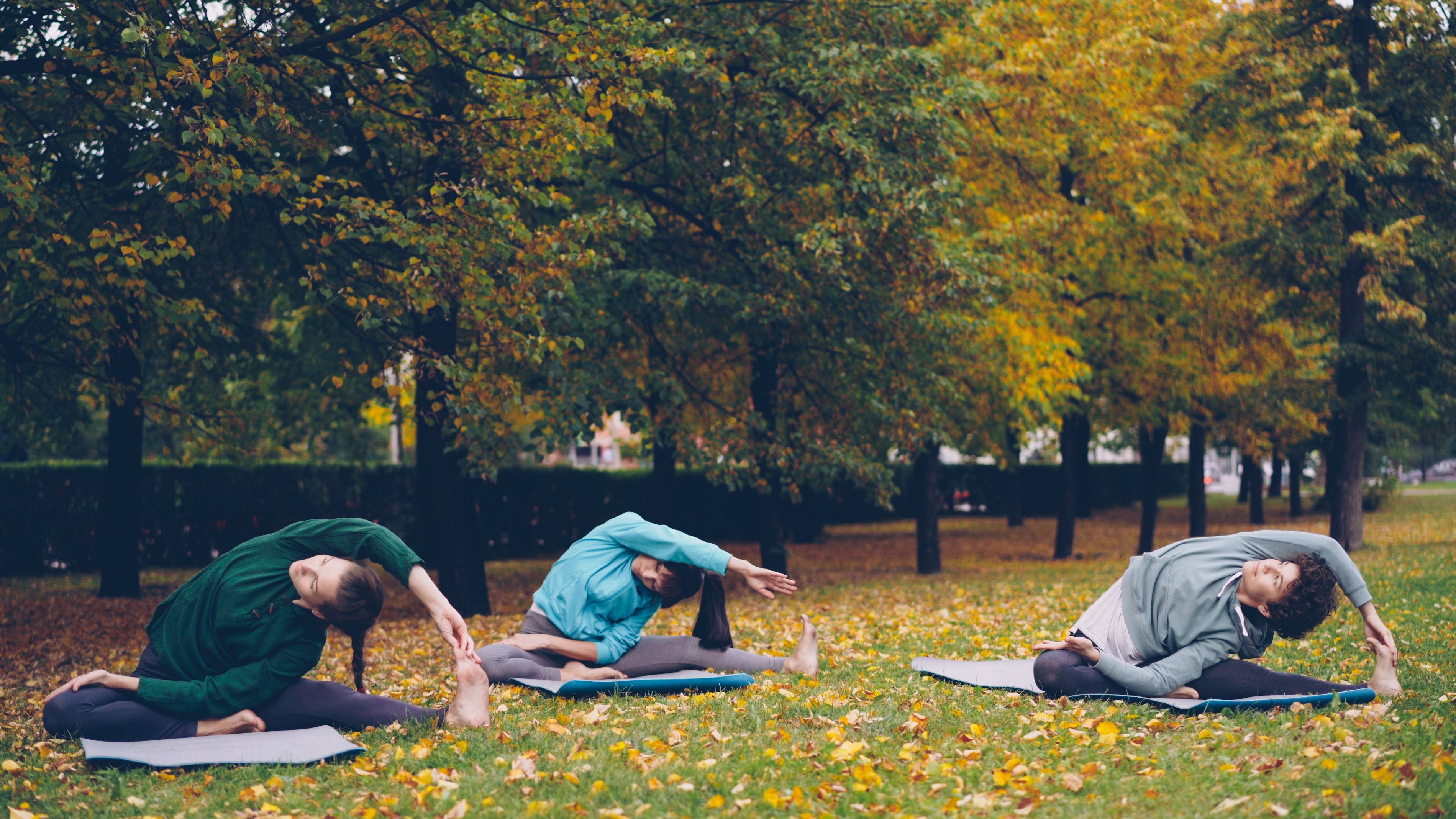 People stretching in a park