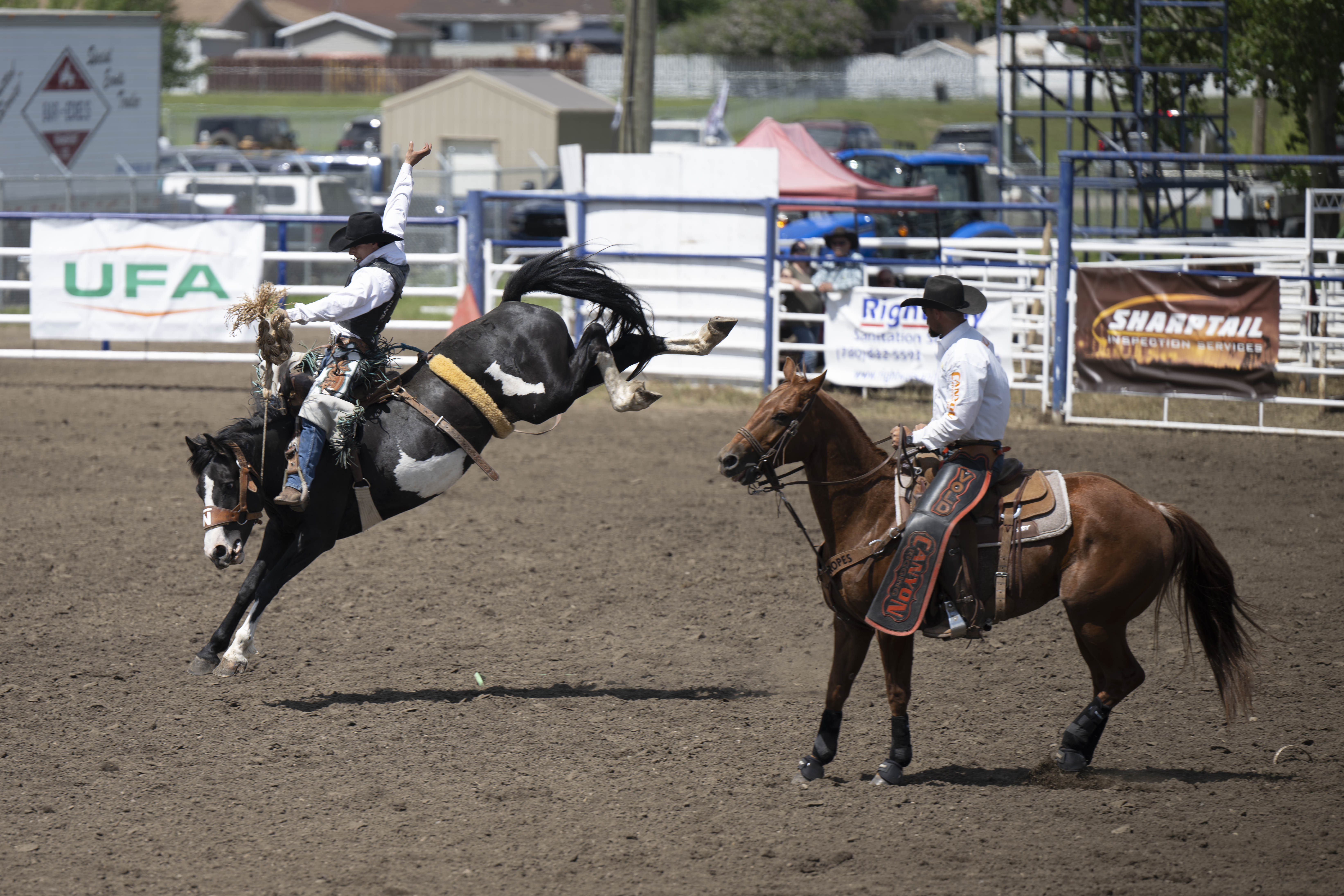 A bronc rider and a pick-up rider in the Wainwright Stampede arean.